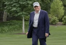 donald tramp i memkoin  predlagayut vdohnovenie dlya investorov-politgolos-ru-174825304200-0