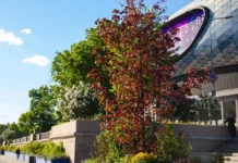 festival sady i czvety prohodit na vtb arene i tretyakovskom mostu-politgolos-ru-174790787600-0