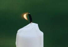 irina kostrova otmetila 102 goda sczeny lyubvi i vdohnoveniya s moskonczertom-politgolos-ru-174612180000-0