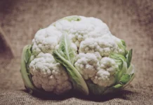 kelsi mur i uchenye universiteta barselony obsudili zdorove pecheni-politgolos-ru-174817816800-0