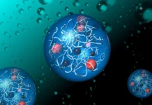 Мин Ван и Фуданьский университет разрабатывают новые нейроинтерфейсы min van i fudanskij universitet razrabatyvayut novye nejrointerfejsy-politgolos-ru-174844951200-0