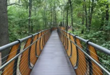 Москва создаёт экоплощадку на Воробьёвых горах, предложенные инициативы департамента капитального ремонта moskva sozdayot ekoploshhadku na vorobyovyh gorah predlozhennye inicziativy departamenta kapitalnogo remonta-politgolos-ru-174870919400-0