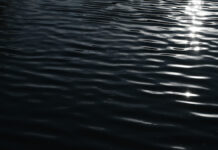 На Алтае обнаружили лес мертвецов и тайны Чингисхана в Телецком озере na altae obnaruzhili les mertveczov i tajny chingishana v teleczkom ozere-politgolos-ru-174646929000-0