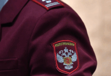 rospotrebnadzor obespechil kontrol nad sibirskoj yazvoj v tailande i dr kongo-politgolos-ru-174628967200-0