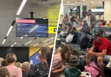 sheremetevo i vnukovo vosstanavlivayut raspisanie rejsov  -politgolos-ru-174678789200-0