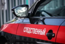 СК РФ в Бердянске занимается делом поклонницы Пичушкина, проводя экспертизы sk rf v berdyanske zanimaetsya delom poklonniczy pichushkina provodya ekspertizy-politgolos-ru-174765436800-0