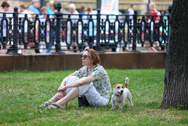 Вводная картинка