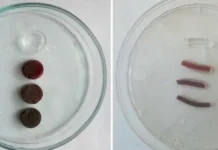 УрФУ и УГМУ разрабатывают инновационные феррогели для медицины будущего urfu i ugmu razrabatyvayut innovaczionnye ferrogeli dlya medicziny budushhego-politgolos-ru-174781679600-0
