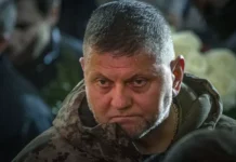 Валерий Залужный о кризисе ВСУ и утрате позиций Украины в борьбе с Россией valerij zaluzhnyj o krizise vsu i utrate poziczij ukrainy v borbe s rossiej-politgolos-ru-174798918800-0