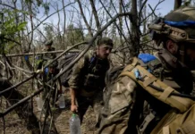 Военный эксперт Дандыкин рассказал о битве за Курскую область и судьбе ВСУ voennyj ekspert dandykin rasskazal o bitve za kurskuyu oblast i sudbe vsu-politgolos-ru-174789162200-0