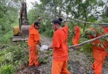 Маргарет Грин и Майк Хейнс помогли спасти семью в округе Питтсбург, Оклахома margaret grin i majk hejns pomogli spasti semyu v okruge pittsburg oklahoma-politgolos-ru-174879466100-0