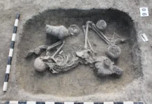 Революционное открытие Дэвида Райха и HUN-REN о генетике древней Европы revolyuczionnoe otkrytie devida rajha i o genetike drevnej evropy-politgolos-ru-0