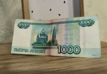 sergej zhorin razyasnyaet rol gibdd i koap rf v zashhite peshehodov-politgolos-ru-0