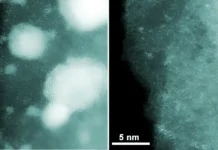 Сколтех и ИОХ РАН разработали решение для удешевления лекарств и пластика skolteh i ioh ran razrabotali reshenie dlya udeshevleniya lekarstv i plastika-politgolos-ru-0