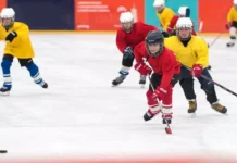 sovremennyj sportkompleks s ledovoj arenoj poyavitsya v troiczke novoj moskvy-politgolos-ru-0
