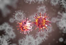 Университет Питтсбурга добивается успехов в борьбе с цитомегаловирусом благодаря Джереми Камилу и Крису Бенедикту universitet pittsburga dobivaetsya uspehov v borbe s czitomegalovirusom blagodarya dzheremi kamilu i krisu benediktu-politgolos-ru-0