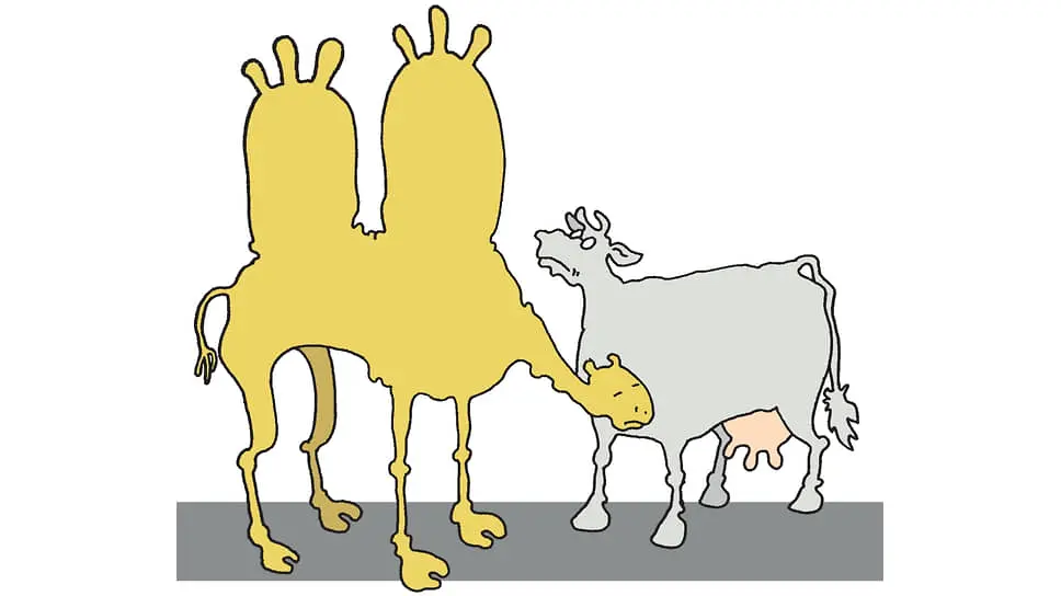 Алексей Гордеев, Минсельхоз и Штефан Дюрр на пути к честному молочному рынку-0