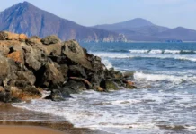 Интервью с Татьяной Орловой о летнем потеплении моря и риске токсичных Dinophysis и Prorocentrum intervyu s tatyanoj orlovoj o letnem poteplenii morya i riske toksichnyh i -politgolos-ru-0