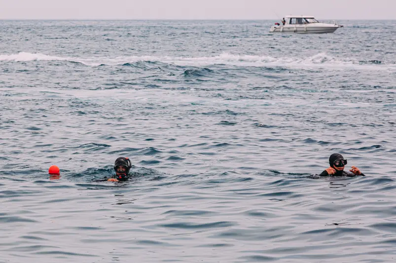Водолаз, дайвинг, дайвер, подводное плавание Мария Смитюк, ИА PrimaMedia