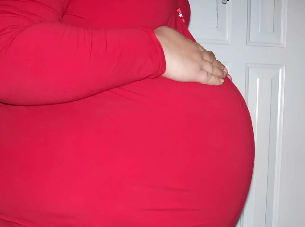 Профессор Арун В. Холден из Университета Лидса изучил перспективы родов в космосе-0