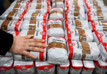 АБ-Центр и «Народный фермер» сохраняют оптимизм при сокращении урожая гречихи в 2025 году abczentr i narodnyj fermer sohranyayut optimizm pri sokrashhenii urozhaya grechihi v 2025 godu-politgolos-ru-0