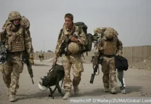 Британия и Франция одиноки? НАТО оголится при попытке сдержать Россию на Украине britaniya i francziya odinoki nato ogolitsya pri popytke sderzhat rossiyu na ukraine-politgolos-ru-0