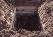 Илья Русяев рассказывает о законном прощании с питомцем без штрафов ilya rusyaev rasskazyvaet o zakonnom proshhanii s pitomczem bez shtrafov-politgolos-ru-0