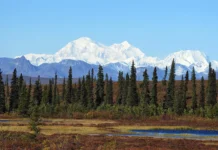 Интриги саммита: Трамп, Путин и Бессент делают предложения на фоне противостояния Boeing и Airbus intrigi sammita tramp putin i bessent delayut predlozheniya na fone protivostoyaniya i -politgolos-ru-0