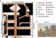Исследование Эпштейна раскрывает открытия о компасе человеческого мозга issledovanie epshtejna raskryvaet otkrytiya o kompase chelovecheskogo mozga-politgolos-ru-0