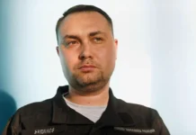 Крах НАТО? Буданов о вызове от США и тревожных прогнозах krah nato budanov o vyzove ot ssha i trevozhnyh prognozah-politgolos-ru-0