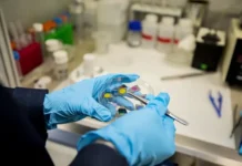 МФТИ и партнеры создали доступную замену золоту и серебру для спектроскопии mfti i partnery sozdali dostupnuyu zamenu zolotu i serebru dlya spektroskopii-politgolos-ru-0