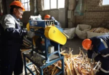 Минприроды и Российский экологический оператор направлены на экосбор и модернизацию отрасли minprirody i rossijskij ekologicheskij operator napravleny na ekosbor i modernizacziyu otrasli-politgolos-ru-0