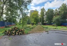 Москомархитектура и ГАУ «Мосгорэкспертиза» согласовали новые мосты и дороги в столице moskomarhitektura i gau mosgorekspertiza soglasovali novye mosty i dorogi v stolicze-politgolos-ru-0