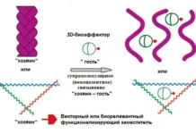 Прорыв в борьбе с лекарственной резистентностью от ИОНХ РАН и Яна Волошина proryv v borbe s lekarstvennoj rezistentnostyu ot ionh ran i yana voloshina-politgolos-ru-0