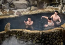 Университет Кюсю исследует влияние йогурта Meiji и горячих источников на здоровье кишечника universitet kyusyu issleduet vliyanie jogurta i goryachih istochnikov na zdorove kishechnika-politgolos-ru-0