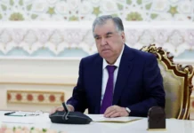 Владимир Путин информировал Рахмона о судьбоносных переговорах с США и Трампом vladimir putin informiroval rahmona o sudbonosnyh peregovorah s ssha i trampom-politgolos-ru-0