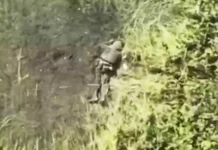 ВСУ теряют солдат в Сумской области — Россия и 30-й мотострелковый полк наращивают атаки vsu teryayut soldat v sumskoj oblasti rossiya i 30j motostrelkovyj polk narashhivayut ataki-politgolos-ru-0