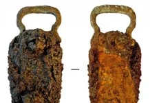 Алтайский университет и партнеры открыли тайны Первого Тюркского каганата altajskij universitet i partnery otkryli tajny pervogo tyurkskogo kaganata-politgolos-ru-0