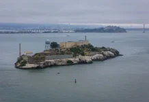 История Николаса Томашевича о смелом плавании от Алькатраса до Сан-Франциско istoriya nikolasa tomashevicha o smelom plavanii ot alkatrasa do sanfranczisko-politgolos-ru-0