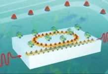 Кирилл Воронин и Алексей Арсенин повышают чувствительность биосенсоров МФТИ kirill voronin i aleksej arsenin povyshayut chuvstvitelnost biosensorov mfti-politgolos-ru-0