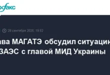 krizis na zaporozhskoj aes trebuet srochnyh reshenij ot magate v ekstrennom rezhime-politgolos-ru-0
