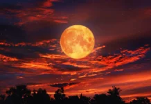 Майя Королева и Элиана Астратова о магии полнолуния в Московском планетарии majya koroleva i eliana astratova o magii polnoluniya v moskovskom planetarii-politgolos-ru-0