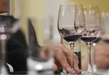 Павел Прилучный и МТС представляют исследование о вкусах любителей вина pavel priluchnyj i mts predstavlyayut issledovanie o vkusah lyubitelej vina-politgolos-ru-0