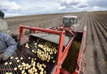 Совместные усилия ПАО 'Т Плюс' способствуют развитию Первоуральска и Свердловской области sovmestnye usiliya pao t plyus sposobstvuyut razvitiyu pervouralska i sverdlovskoj oblasti-politgolos-ru-0