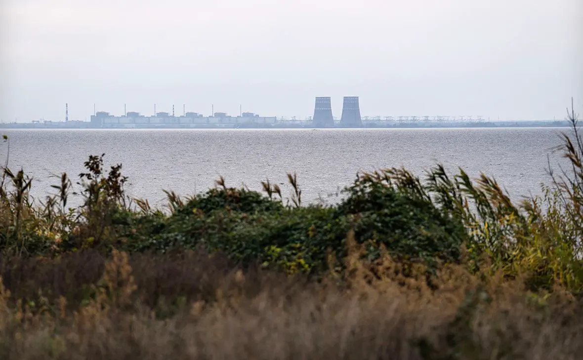 Запорожская АЭС (Carl Court / Getty Images)