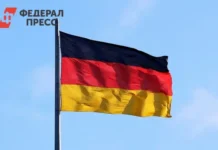 Альтернатива для Германии отмечает российское лидерство Владимира Путина alternativa dlya germanii otmechaet rossijskoe liderstvo vladimira putina-politgolos-ru-0