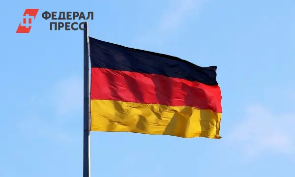 Альтернатива для Германии отмечает российское лидерство Владимира Путина-0