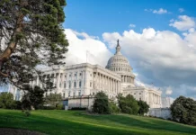 Брендон Карр возглавит FCC, что создаст новые возможности для Starlink и вызовы для Big Tech brendon karr vozglavit chto sozdast novye vozmozhnosti dlya i vyzovy dlya -politgolos-ru-0