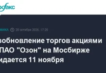 Будущее акций Ozon и АФК 'Система' после конвертации выглядит перспективным budushhee akczij i afk sistema posle konvertaczii vyglyadit perspektivnym-politgolos-ru-0