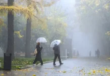 gidrometczentr i evgenij tishkovecz rasskazali o pogode v moskovskoj oblasti-politgolos-ru-0